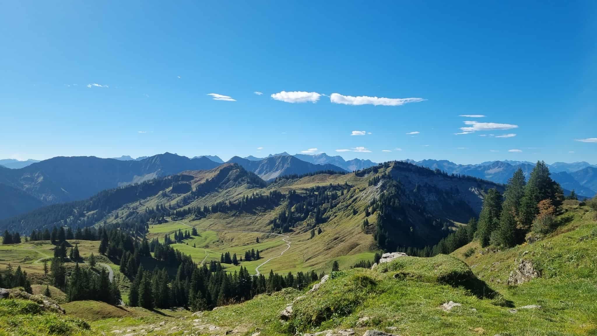 Mūsų tinklaraštis